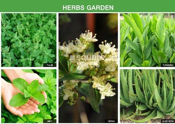 Godrej Nature Plus