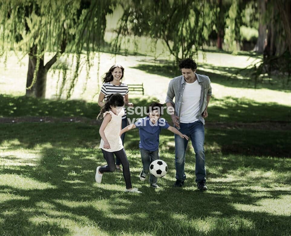 Godrej Serenity Gurgaon Amenities-Features 1