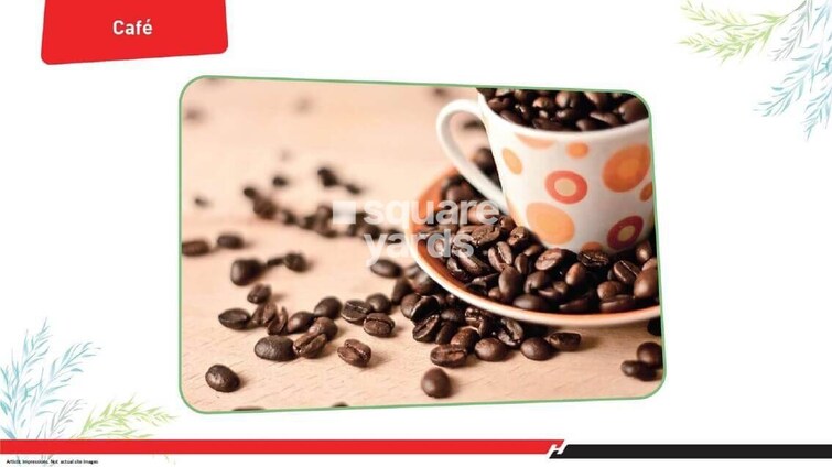 Hero Homes Gurgaon Amenities-Features 11