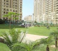 JMD Gardens Greens Image