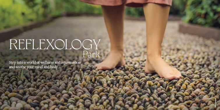 JMS Mega City Amenities-Features 4