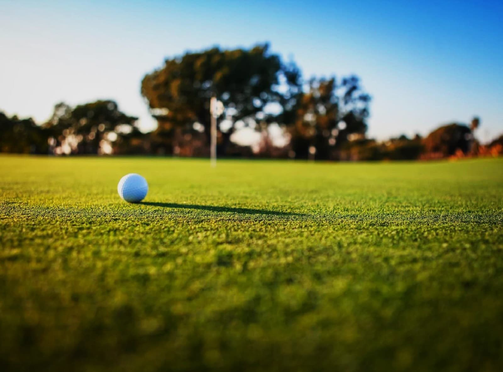 M3M Mansion Sports facilities Image