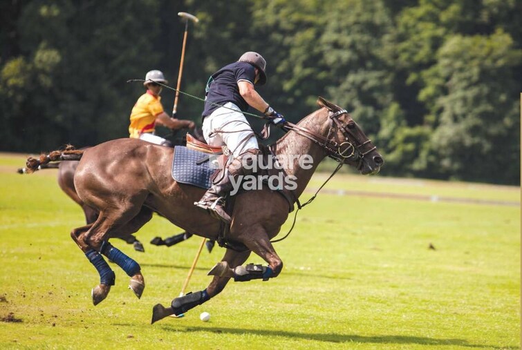 M3M Polo Suites Amenities-Features 3