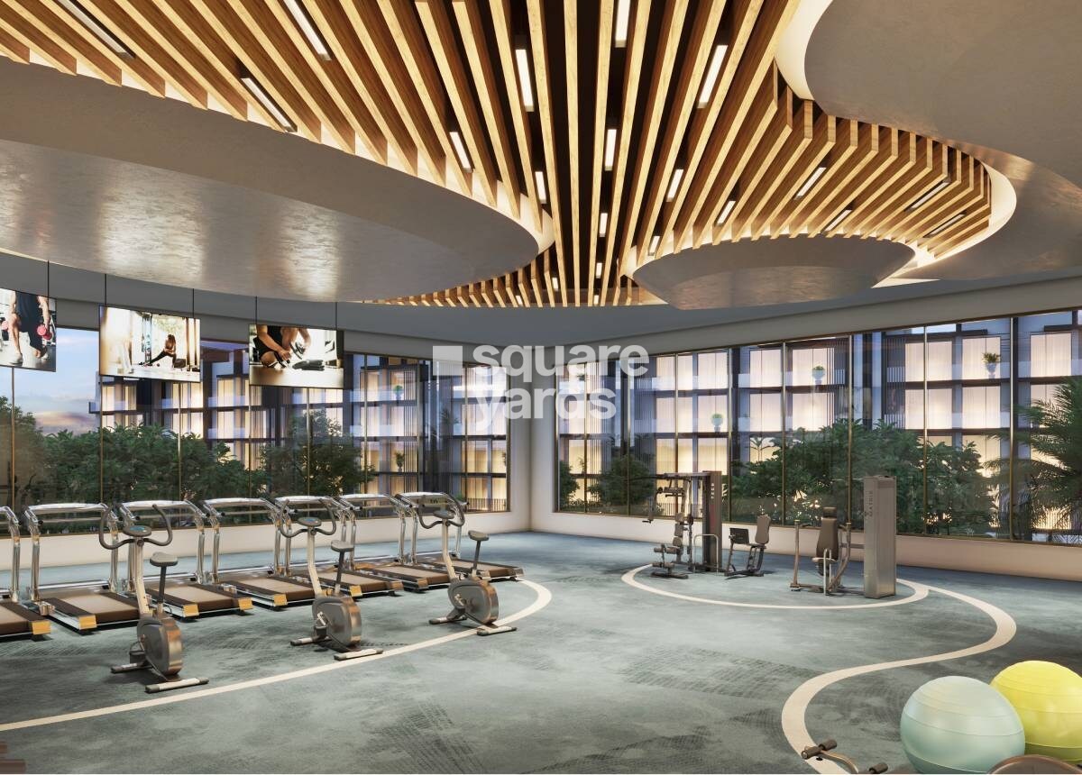 M3M Soulitude Gymnasium Image