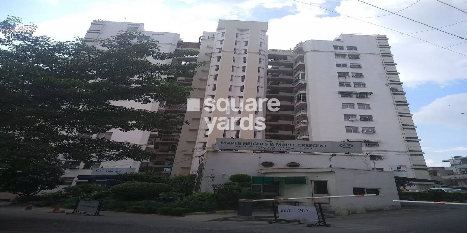 Maple Heights, Sector 43, Gurgaon
