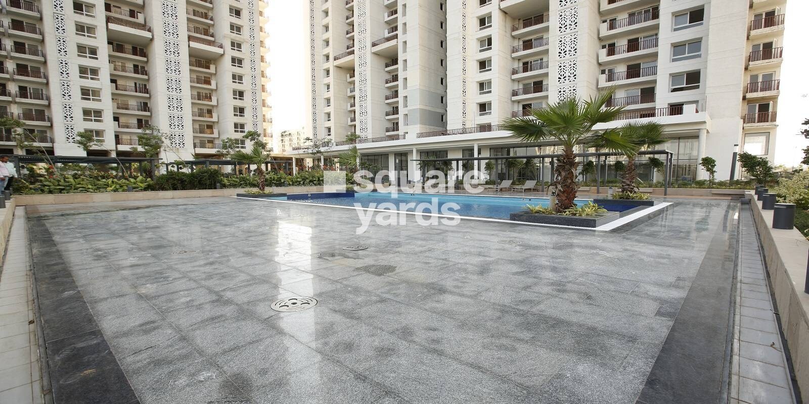 Mapsko Mount Ville Amenities-Features 8