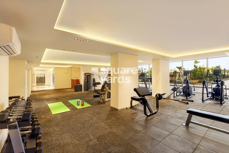 Mapsko Mount Ville Gymnasium Image