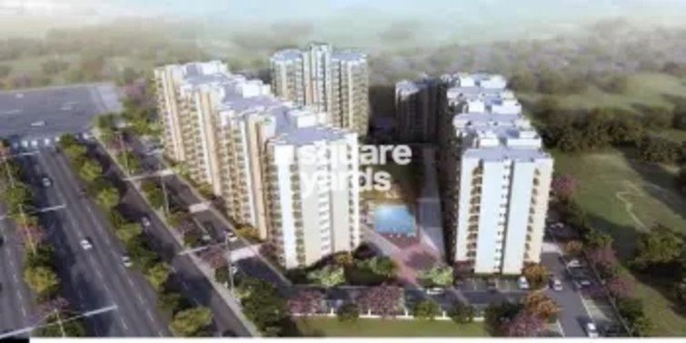 Mapsko Paradise Project Thumbnail Image