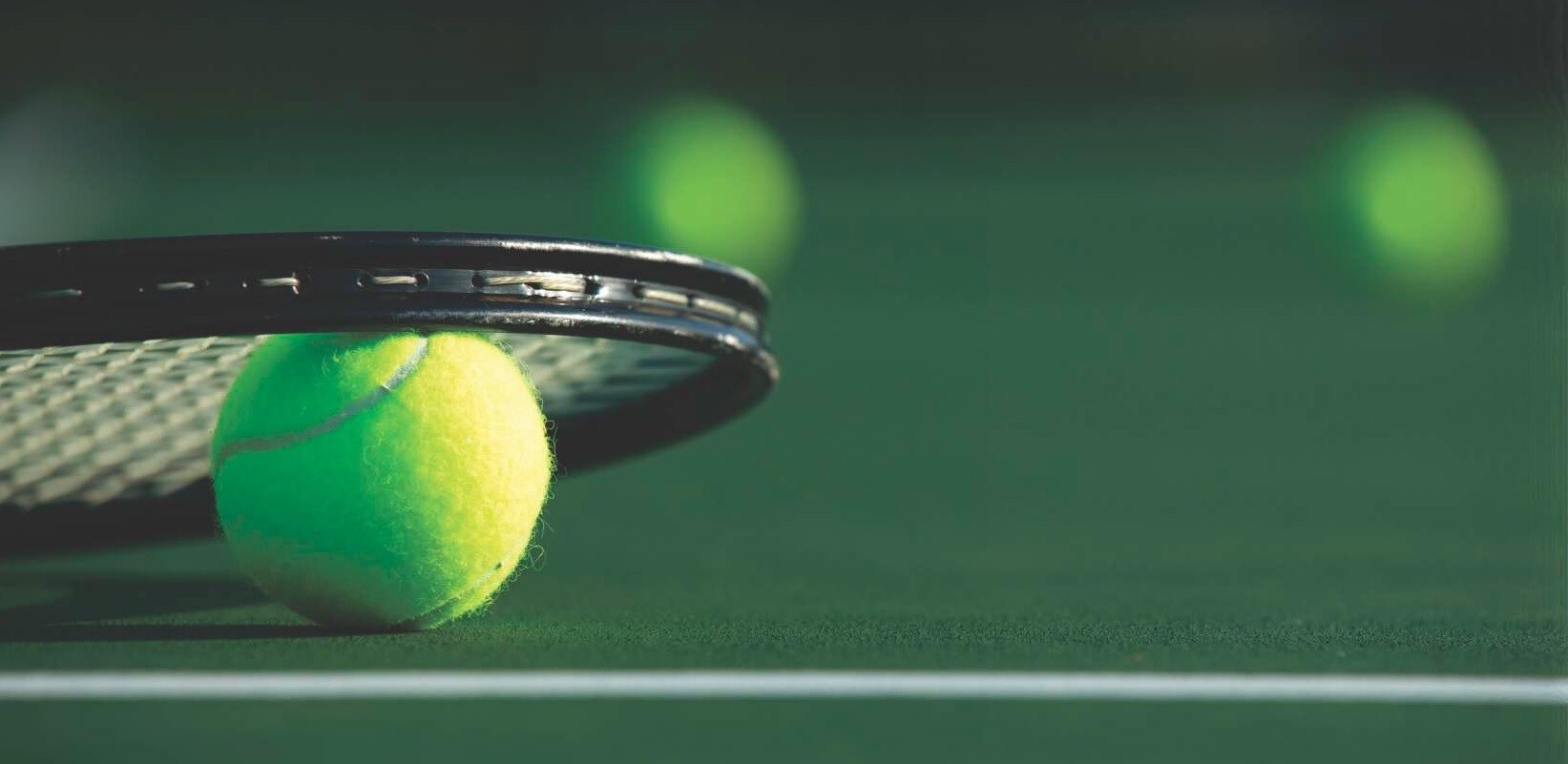 Mapsko Royale Ville Amenities-Features 7