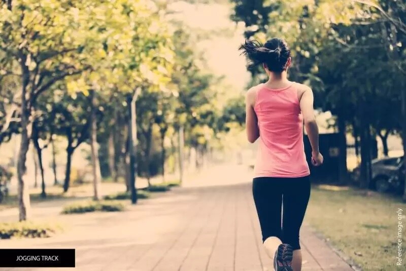 Meffier The Golden City