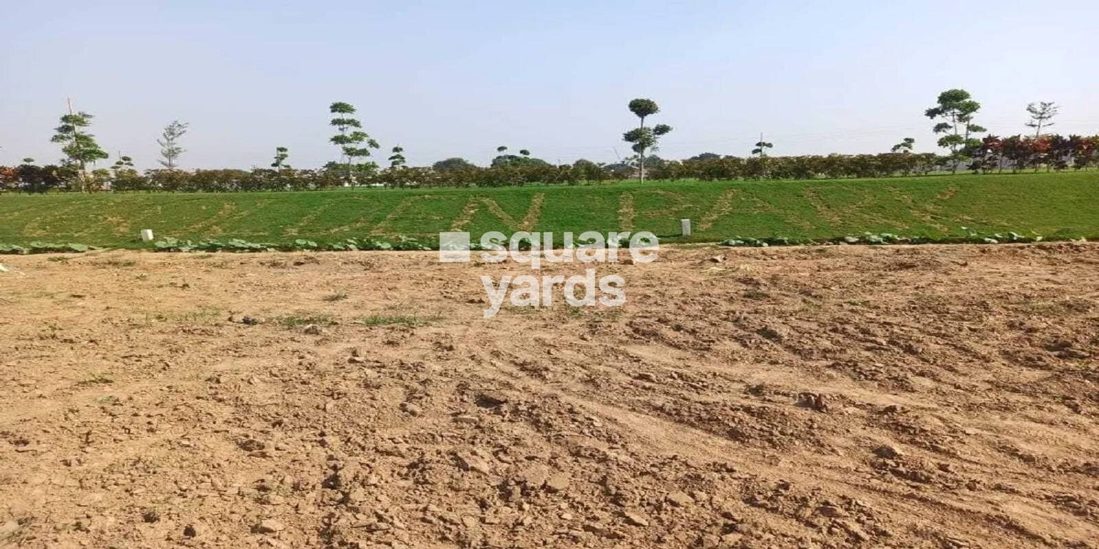 Meffier The Golden City