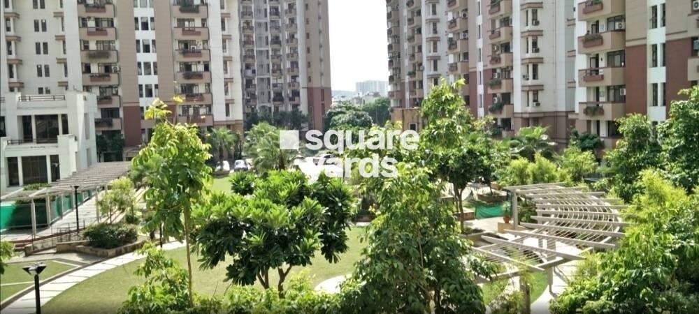 Orchid Gardens Amenities-Features