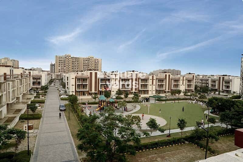 Orchid Island Amenities-Features 1