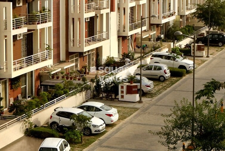 Orchid Island Amenities-Features 3