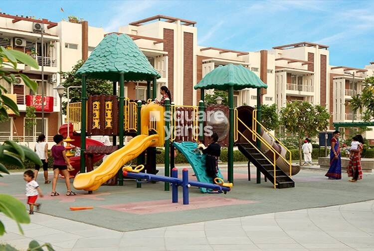 Orchid Island Amenities-Features 2