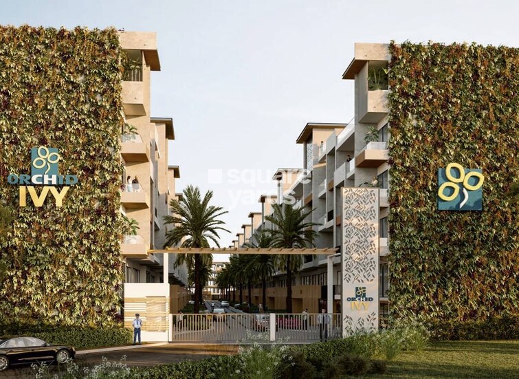 Orchid Ivy Floors Entrance View