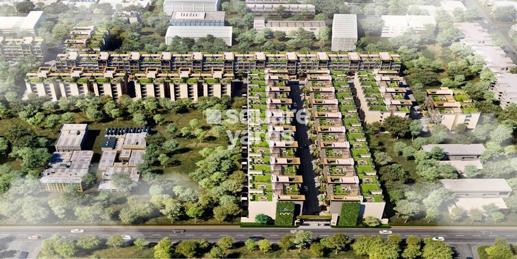 Orchid Ivy Floors Tower View 1