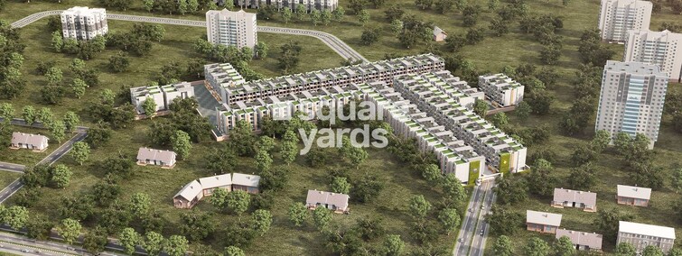 Orchid Ivy Floors Tower View 3