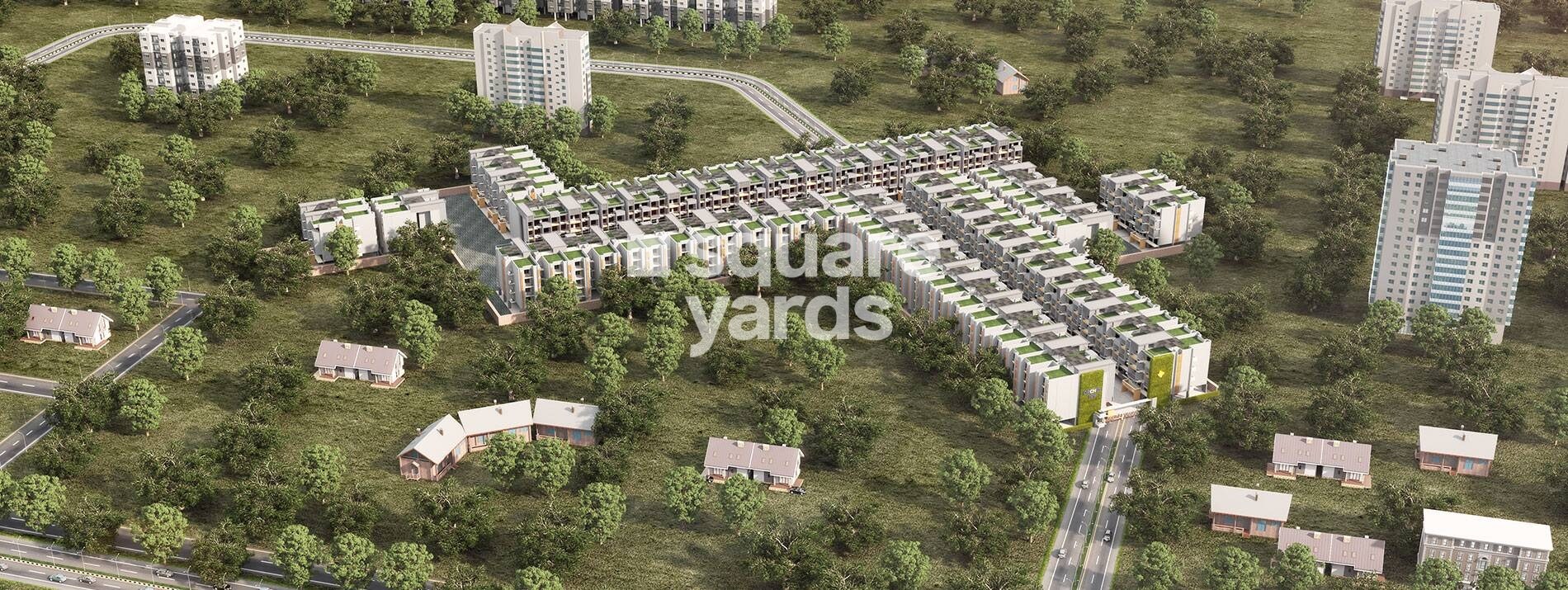 Orchid Ivy Floors Tower View 3