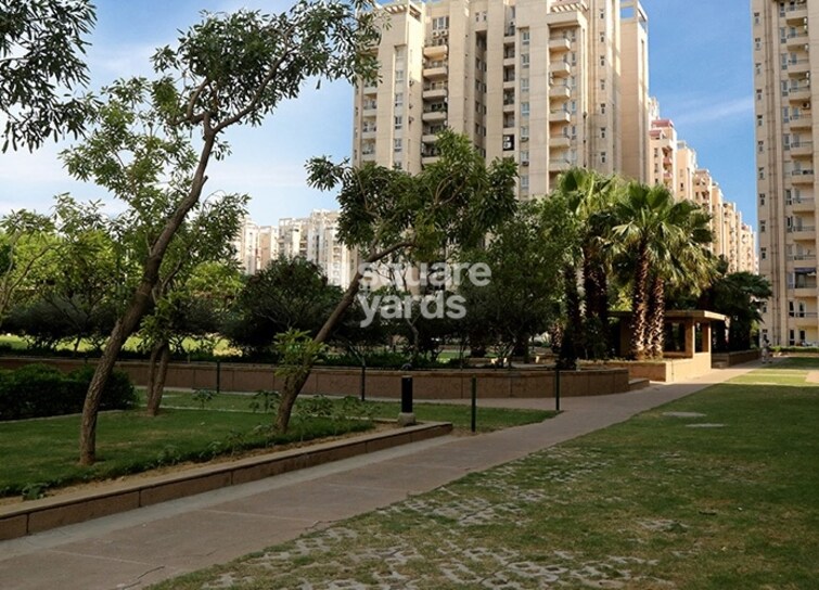 Orchid Petals Amenities-Features 4