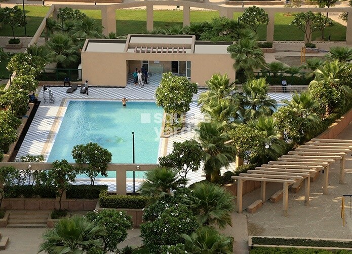 Orchid Petals Amenities-Features 5