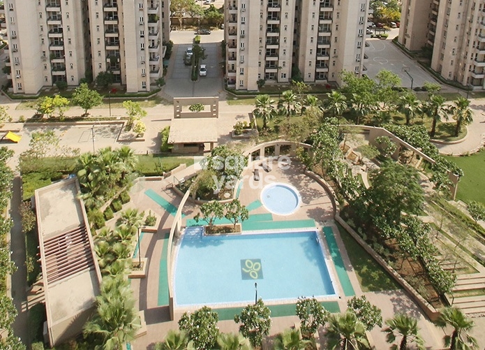 Orchid Petals in Sector 49, Gurgaon 1.49 Cr Floor Plans, Location