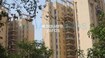 Orchid Petals Tower View