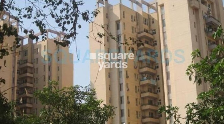 Orchid Petals Tower View 1