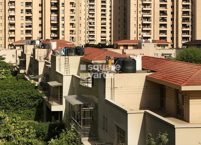 Orchid Petals Tower View 4