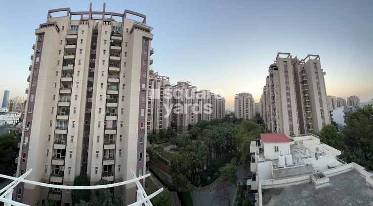 Orchid Petals Tower View 5