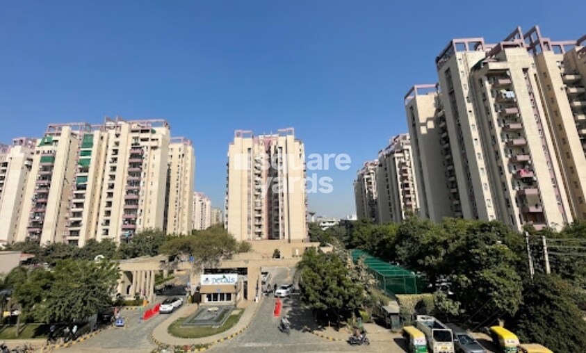 Orchid Petals Tower View 6