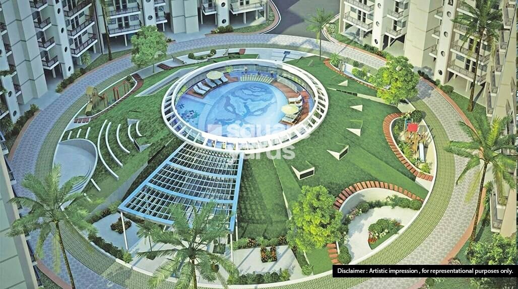 Orris Aster Court Premier