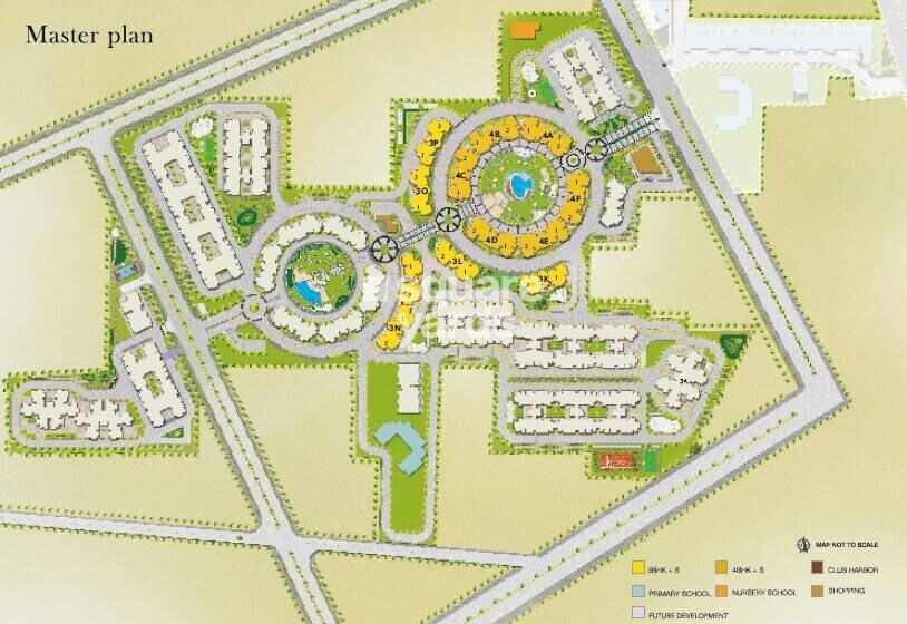 Orris Aster Court Premier