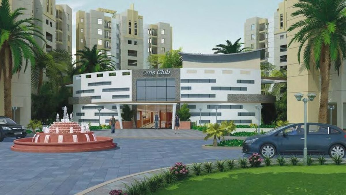 Orris Aster Court Premier