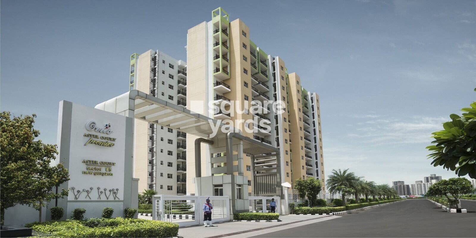 Orris Aster Court Premier Featured Image