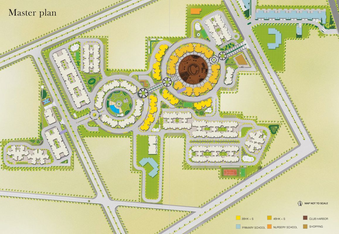 Orris Aster Court Premier