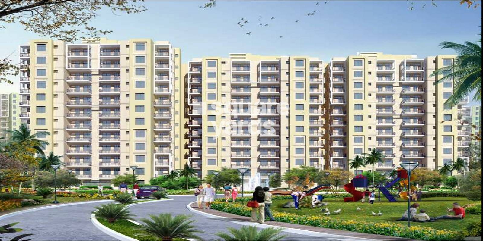 Orris Aster Court Featured Image