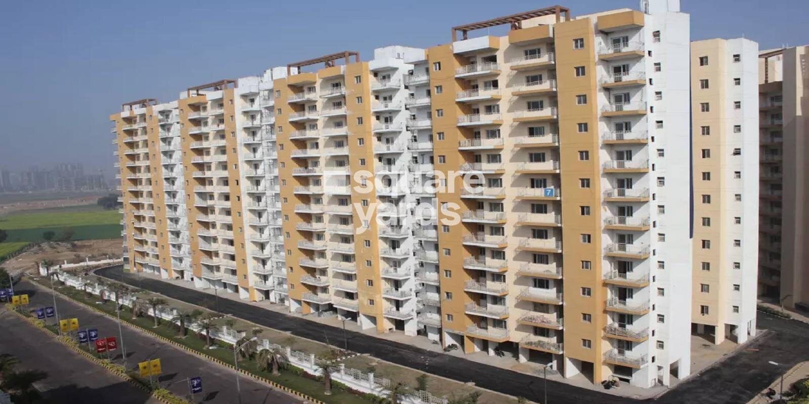 orris-carnation-residency