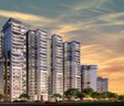 Orris Spring Homes