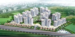 Pal City Park Neillia Elite