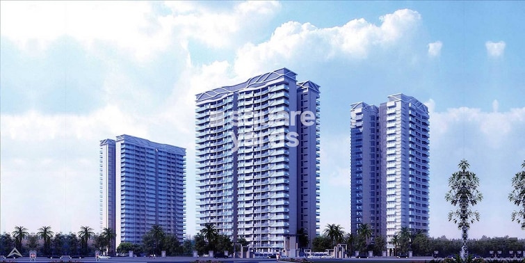 Paras Dews Cover Image