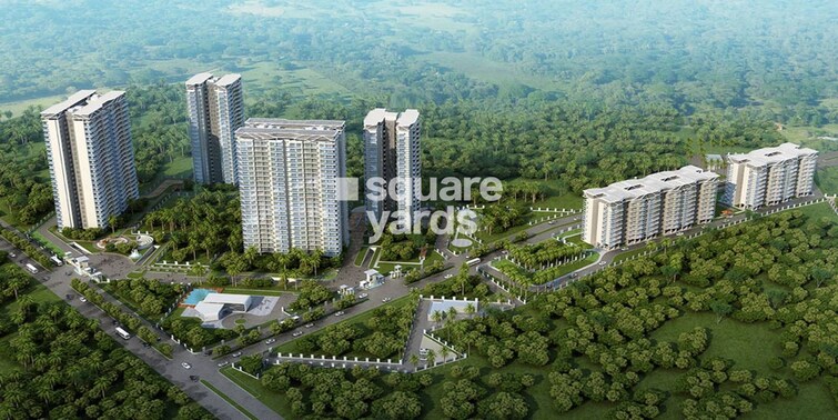 Paras Dews Tower View 6