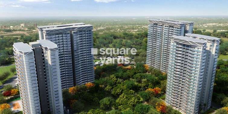 Paras Dews Tower View 7