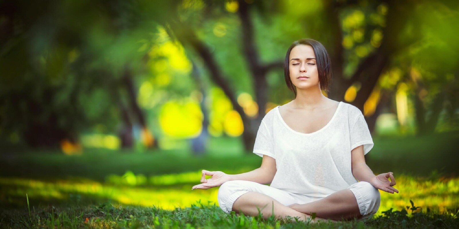 Pareena Hanu Residency Amenities-Features 3