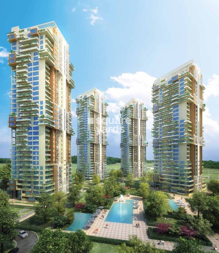 Pioneer Park Araya