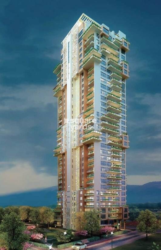 Pioneer Park Araya Tower View 3