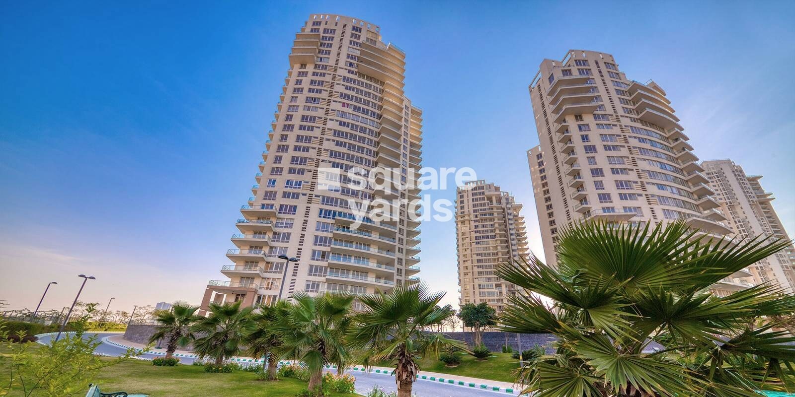 Pioneer Park Presidia Tower View 1