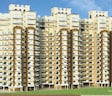 Pivotal Riddhi Siddhi