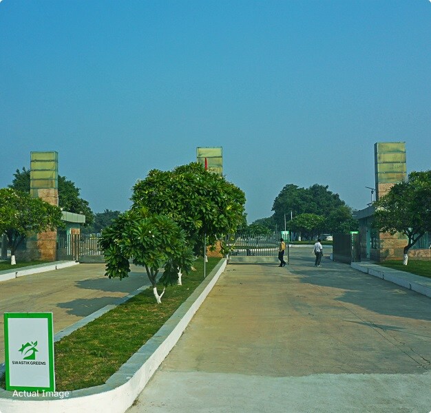 Prominent Swastik Greens