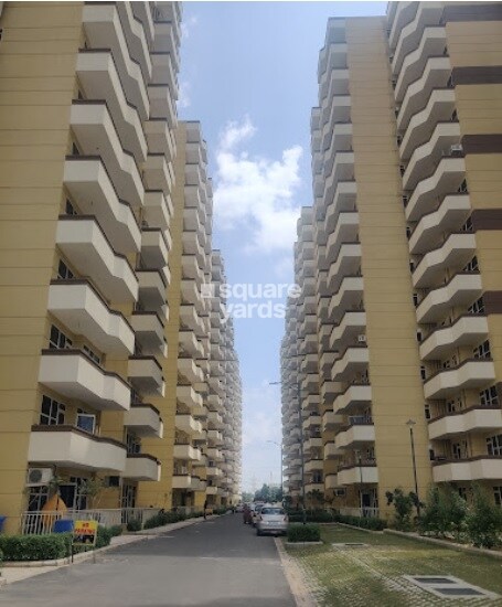 Pyramid Urban Homes 3